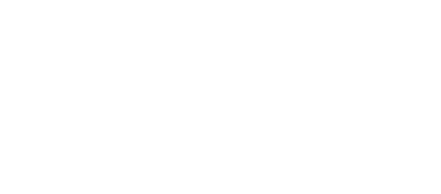 Vega Force Company